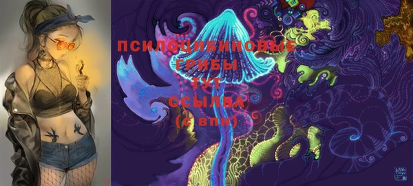 2c-b Алексин