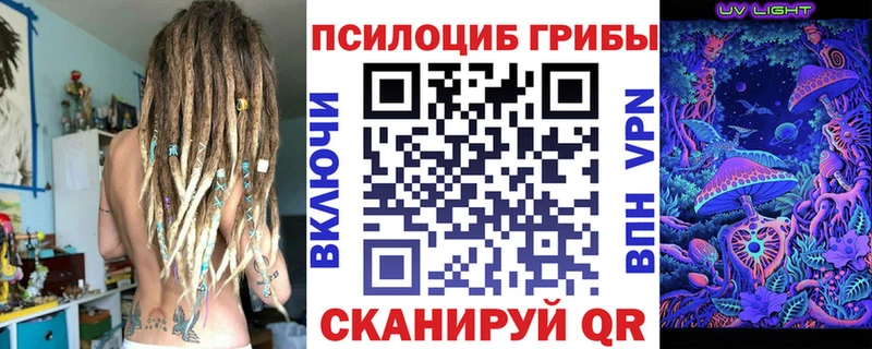Галлюциногенные грибы Psilocybe  где продают наркотики  Анапа 